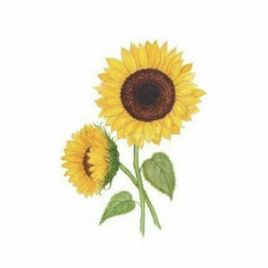 Meet your Posher, Evan